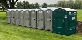 Best Standard Portable Toilet Rental  in Mount Morris, MI
